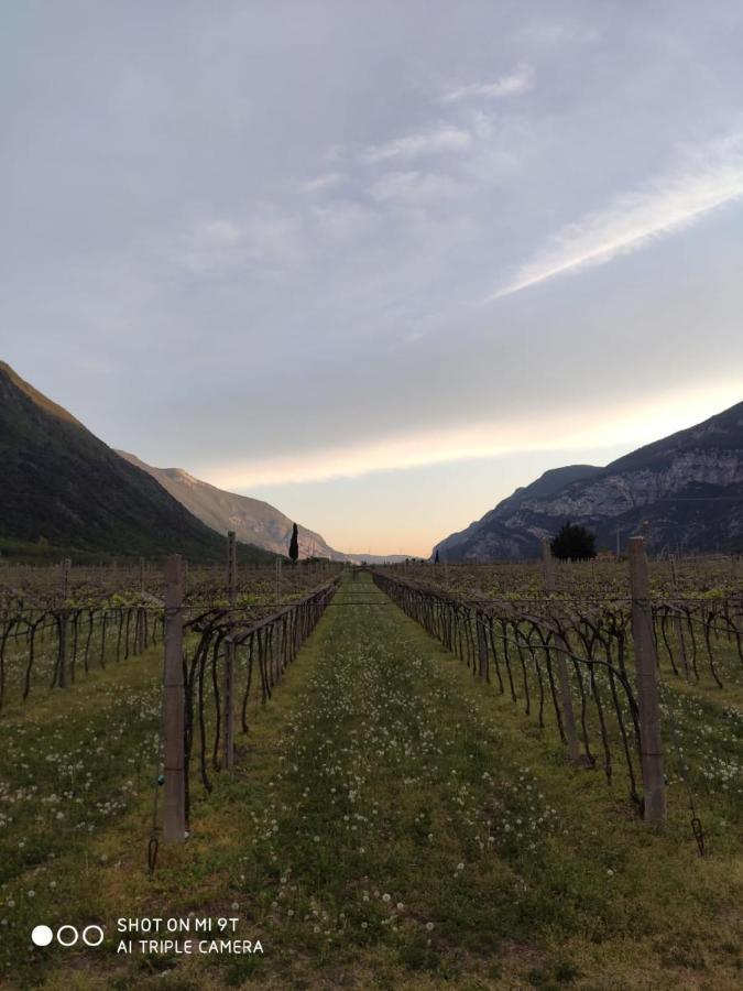 Agriturismo Revena Brentino Belluno Dış mekan fotoğraf