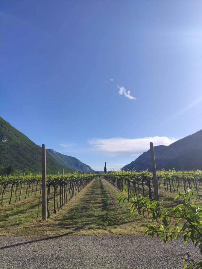 Agriturismo Revena Brentino Belluno Dış mekan fotoğraf